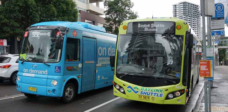 Transit Systems Hino Poncho HX L6 BRIDJ & Telfords Volvo B8RLE Custom CB80 6019 Baylink Shuttle